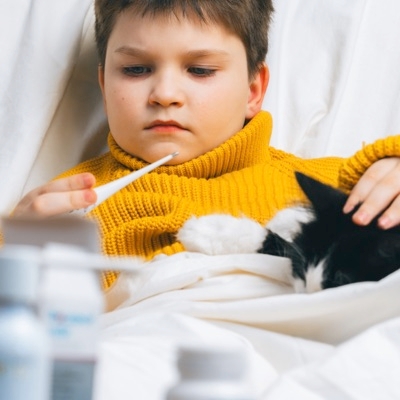 Pets And The Immunocompromised Person