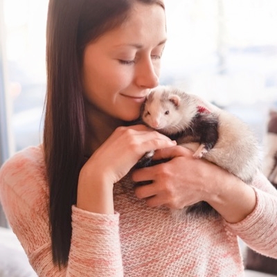 How To Stay Healthy Around Ferrets