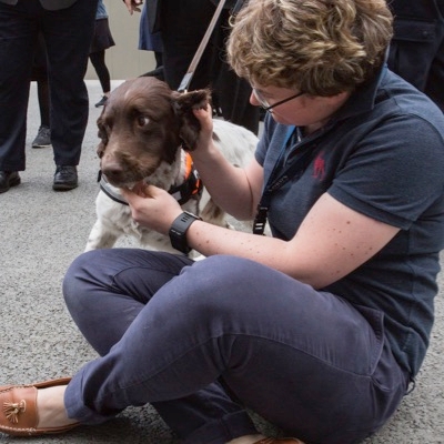 Territorial Marking Behavior In Dogs