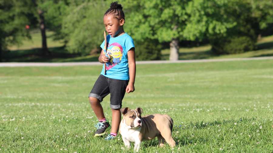 Children And Dogs