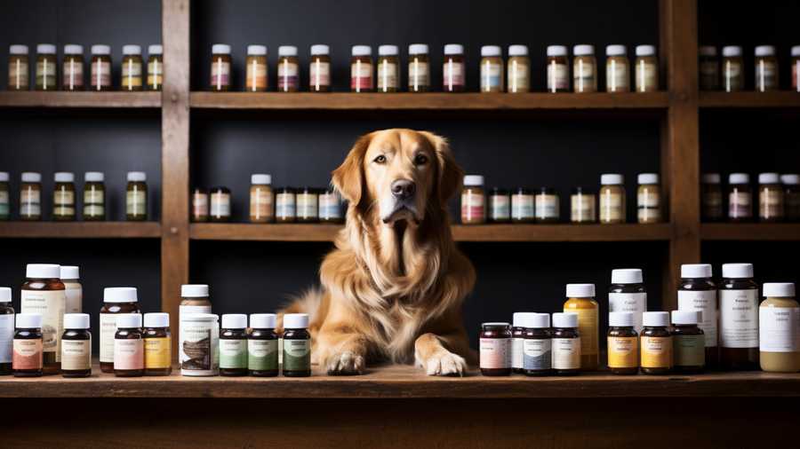 Health Supplements for Dogs