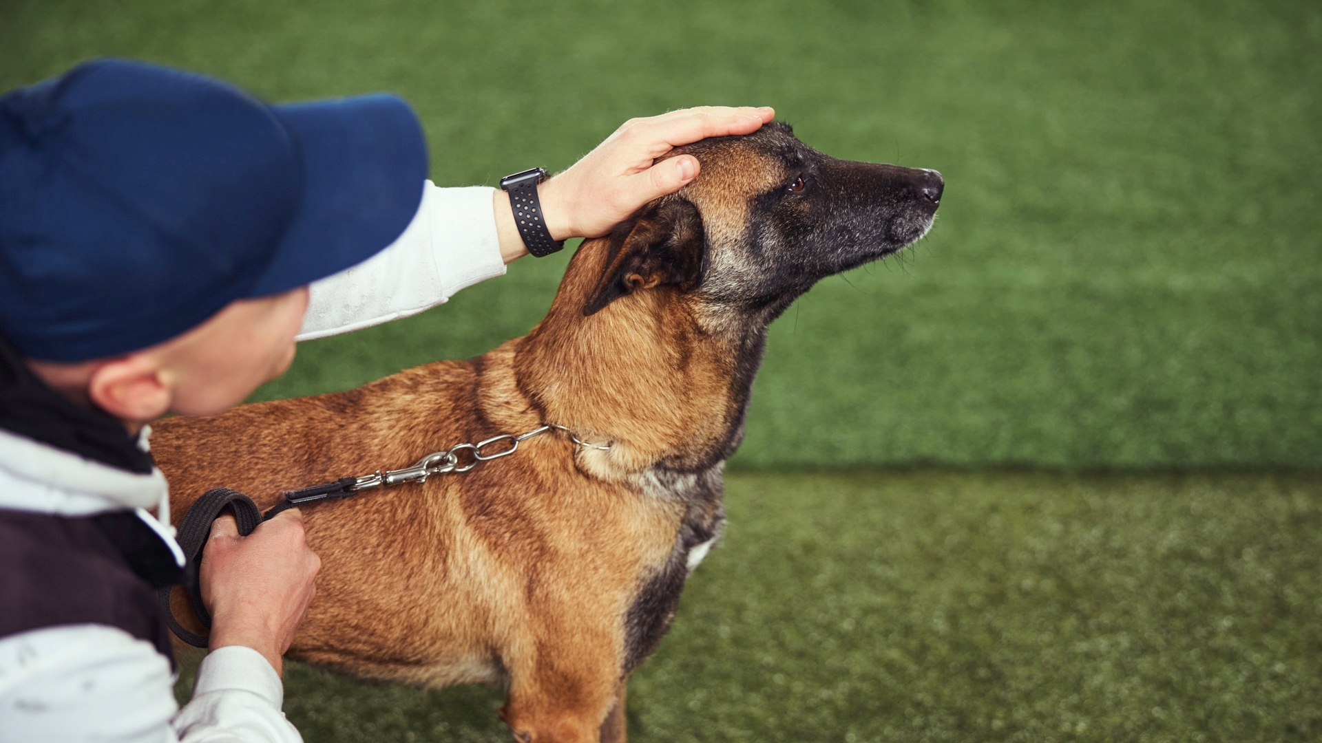 How Dog Training Helps Your Dog to Behave in a Manner You Require